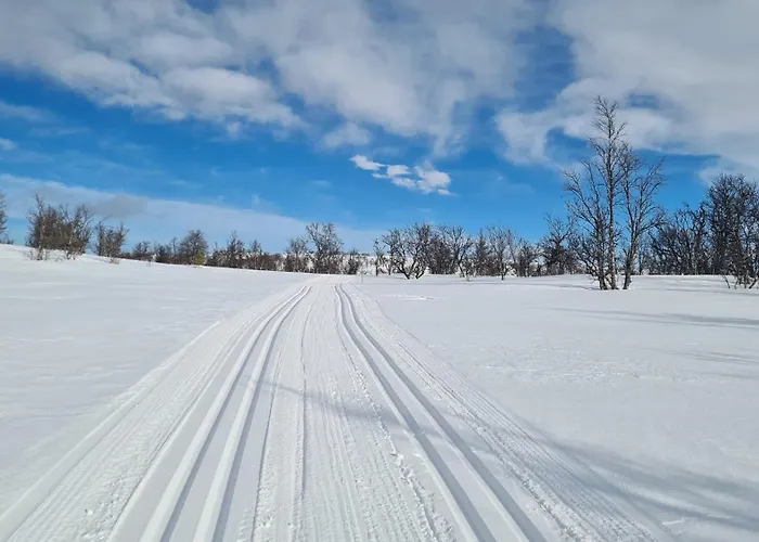 Harekroken Semesterbostad Tynset