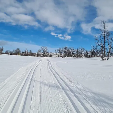 Harekroken בית נופש טינסט