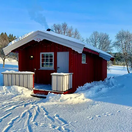 Harekroken טינסט