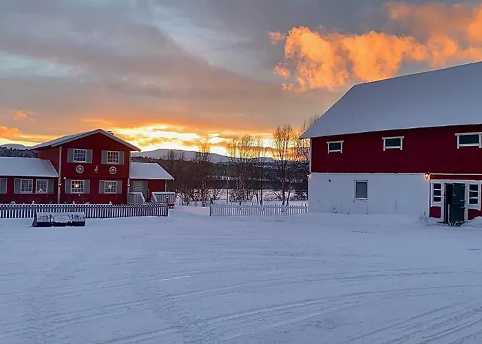 Harekroken טינסט